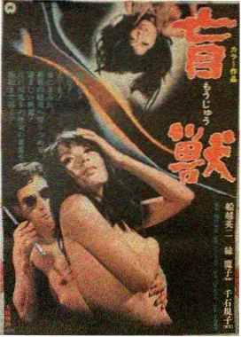 回声与杂音 作品海报